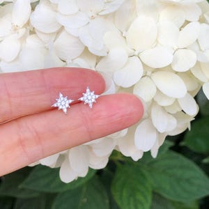 May include: A pair of silver star-shaped earrings with small clear cubic zirconia stones.
