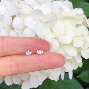 May include: A pair of silver earrings with a cluster of small, clear cubic zirconia stones in a crown shape.
