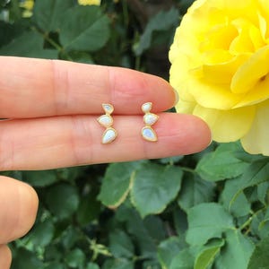 May include: A pair of gold-colored stud earrings, each featuring three pear-shaped, opalescent stones. The earrings are displayed against a backdrop of green foliage and a vibrant yellow rose, highlighting their delicate design.