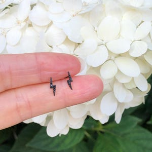 May include: A pair of small black lightning bolt earrings with black diamond accents.