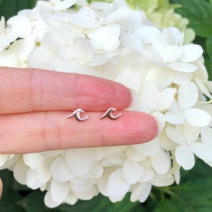 May include: A pair of silver wave earrings. The earrings are small and delicate, and they are perfect for adding a touch of whimsy to any outfit.