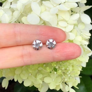 May include: A pair of silver sand dollar stud earrings. The earrings are small and delicate, and they feature a detailed sand dollar design.