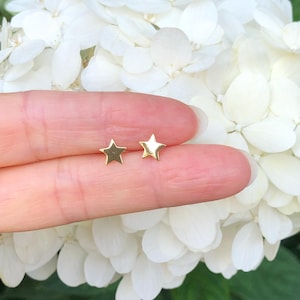 May include: A pair of gold star-shaped stud earrings. The earrings are small and delicate, and they are perfect for everyday wear.