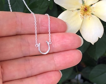 May include: A silver horseshoe pendant necklace. The horseshoe charm is a simple, curved design, suspended from a delicate chain. The necklace is displayed against a backdrop of green foliage and white and yellow flowers.