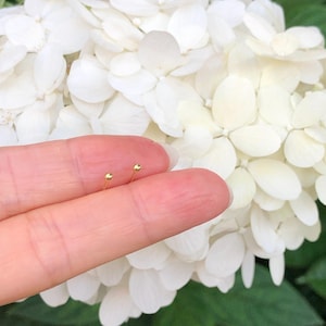 May include: Two small gold ball stud earrings, shown on a finger against a backdrop of white hydrangea flowers.