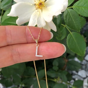 May include: A gold chain necklace with a small pendant in the shape of the letter L. The pendant is encrusted with small, clear stones.