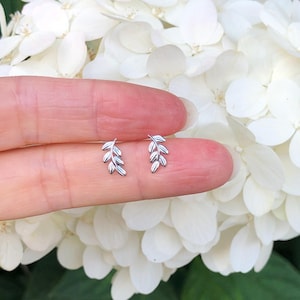 May include: A pair of silver earrings with a delicate leaf design. The earrings are small and dainty, and they would make a great gift for a friend or loved one.