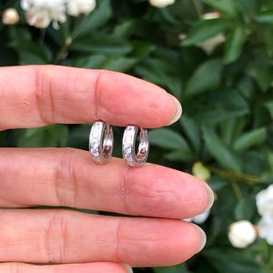 May include: A pair of small, silver hoop earrings. Each earring is adorned with a row of clear, sparkling stones. The earrings are held up against a backdrop of green foliage and white flowers.