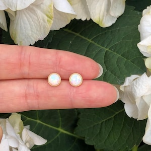 May include: A pair of small, round opal earrings with a gold setting. The earrings are shown on a finger against a background of white flowers and green leaves.
