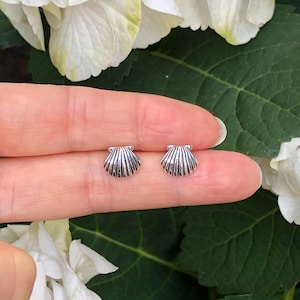 May include: A pair of small, silver seashell stud earrings. Each earring features a detailed, ridged design, resembling a miniature scallop shell. The earrings are held between fingers against a backdrop of white flowers and green leaves.