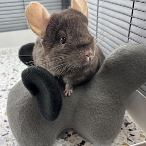 Chinchilla Cuddle Buddy