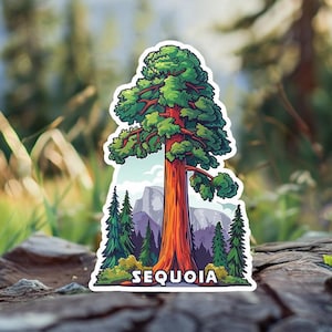 Sequoia National Park Sticker – Lone Giant Tree Nature Decal (Waterproof Vinyl)