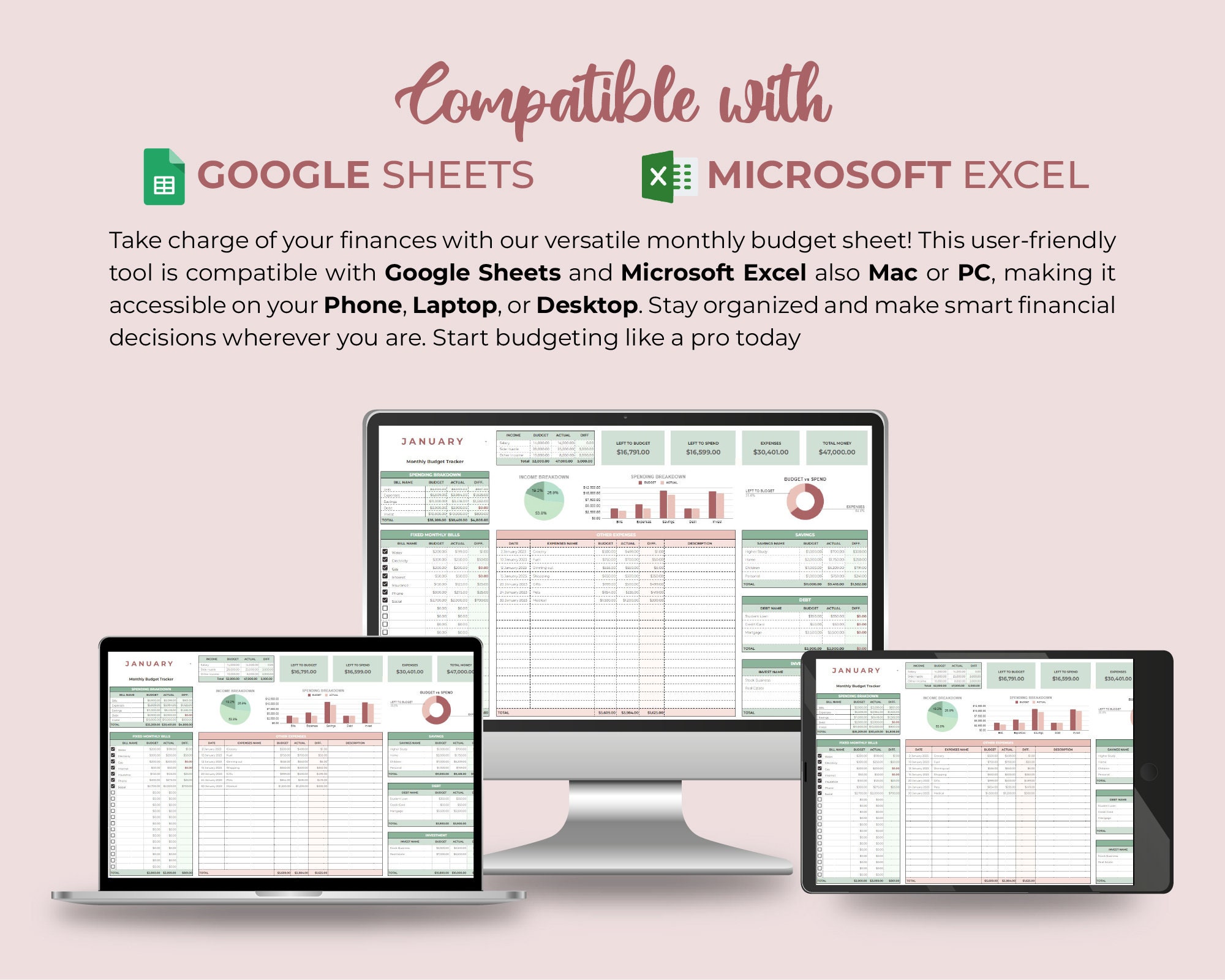 Customizable Monthly Budget Spreadsheet: Google Sheets & Excel (digital ...