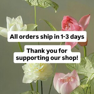 May include: White and pink lotus flowers with green leaves. Two white rectangular text boxes are overlaid on the image. The top box reads: All orders ship in 1-3 days. The bottom box reads: Thank you for supporting our shop!