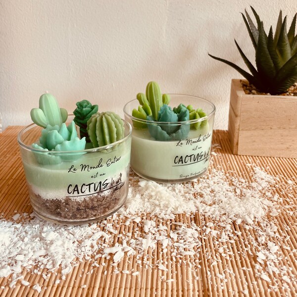 Bougies "Le Monde Entier est un Cactus