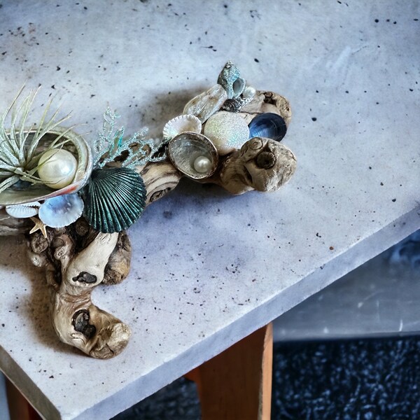 Seashell Centerpiece - Etsy