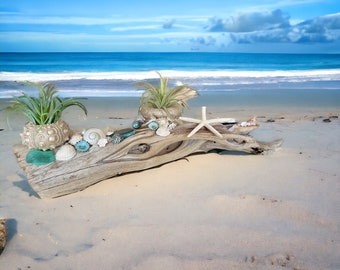 Manzanita Driftwood and Seashell Centerpiece