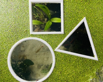 Floating Plant Separator/ Feeding Ring (Pack of 2)