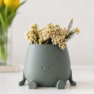 Vaso per piante con faccina sorridente e gambe - Fioriera da interno stampata in 3D