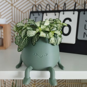Happy Face Planter With Legs – Cute Indoor Pot for Succulents & Desk Decor