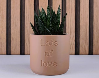 EcoStyle: "Lots of love!" PLA Planters Pot  EcoStyle Gift Present Birthday Mothers Day Friendship Office Design For Her