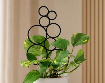Bubble Plant Trellis - 3D Printed Indoor Support for Hoya and Pothos