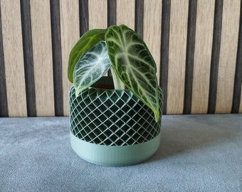 EcoStyle : Pot de plante « Ambra » Décoration végétale mignonne Jardinière d'intérieur Cadeau d'amoureux Anniversaire Fleur Fête des Mères