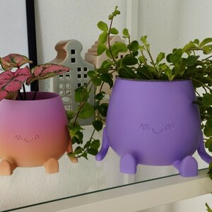 Puede incluir: Dos macetas caprichosas, una rosa y naranja, la otra morada, cada una con una cara sonriente y pequeñas patas. Las macetas contienen plantas con hojas verdes y rosas. En una estantería blanca.