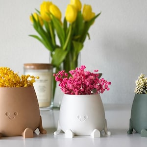 Smiling face planter sitting plant pot with legs cute indoor plant decor funny flower pot gift for plant lovers desk planter
