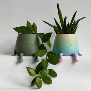 Può includere: Due vasi in ceramica verde e blu con gambe e un viso sorridente. I vasi sono pieni di piante verdi.