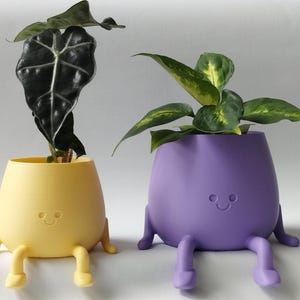 Peut inclure: Deux pots de fleurs colorés et ressemblant à des dessins animés avec des jambes et des visages souriants. Le pot de fleurs de gauche est jaune et contient une plante vert foncé. Le pot de fleurs de droite est violet et contient une plante vert clair.