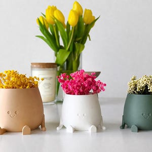 Może przedstawiać: Trzy małe, fantazyjne doniczki w kolorze beżowym, białym i zielonym, każda z uśmiechniętą buzią i małymi nóżkami. Beżowa doniczka zawiera żółte kwiaty, biała różowe, a zielona białe. W tle wazon z żółtymi tulipanami.