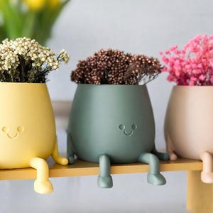 Może przedstawiać: Trzy fantazyjne donice w kolorze żółtym, zielonym i beżowym, każda z innym rodzajem aranżacji z suszonych kwiatów. Donice mają nogi i siedzą na drewnianej półce. Radosny i niepowtarzalny element wystroju domu.