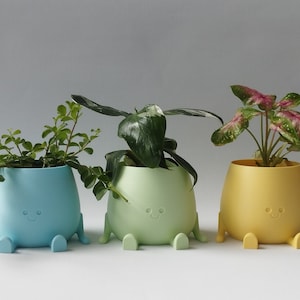 Könnte beinhalten: Drei Keramik-Blumentöpfe mit lächelnden Gesichtern und Beinen. Die Töpfe sind hellblau, hellgrün und gelb. Jeder Topf hat eine andere Pflanzenart, die darin wächst.