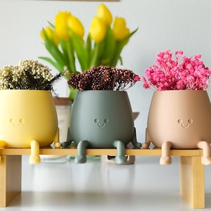 Face Planter With Legs, 3D Printed Indoor Plant Pot, Cute Sitting Shelf Decor, Plant Lover Gift