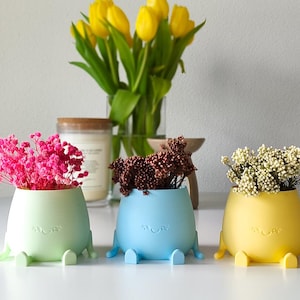 Könnte beinhalten: Drei farbenfrohe, skurrile Pflanzgefäße in Pastellgrün, Blau und Gelb, jedes mit einem lächelnden Gesicht und kleinen Beinen. Die Pflanzgefäße enthalten rosa, braune und weiße Trockenblumen. Im Hintergrund eine Vase mit gelben Tulpen.