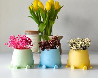 Happy Face Plant Pot With Legs - 3D Printed Succulent Planter and Pencil Holder