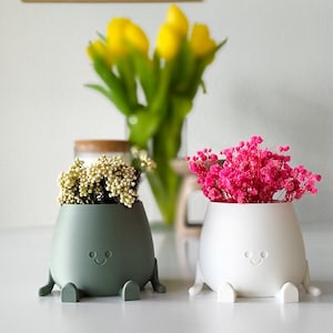 Può includere: Due piccoli vasi arrotondati con finitura opaca, uno verde salvia e uno bianco. Ogni vaso presenta un volto sorridente in rilievo e piccoli piedini sporgenti alla base. Il vaso verde contiene fiori bianchi, mentre quello bianco contiene fiori rosa acceso.
