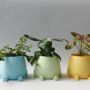 Op de afbeelding: Drie ronde plantenbakken in lichtblauw, lichtgroen en geel, elk met een klein reliëf van een lachend gezicht en twee uitstekende voetjes aan de onderkant. Elke pot bevat een andere groene plant met unieke bladvormen en texturen.