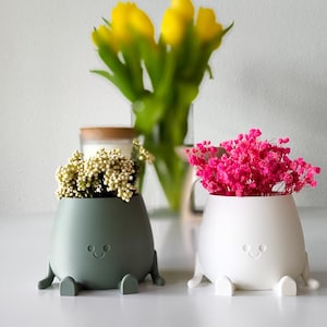 Pflanztopf mit lächelndem Gesicht und Beinen, niedlicher Sukkulenten-Pflanztopf für drinnen, 3D-gedruckte Schreibtischdekoration, lustiges Geschenk für Pflanzenliebhaber