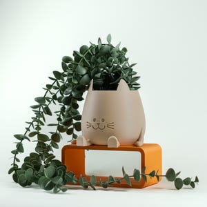 Könnte beinhalten: Beigefarbener, katzenförmiger Pflanztopf mit lächelndem Gesicht, der grüne Blätterpflanzen enthält. Der Pflanztopf steht auf einem orangefarbenen, rechteckigen Ständer. Rankendes grünes Laubwerk sorgt für eine dekorative Note.