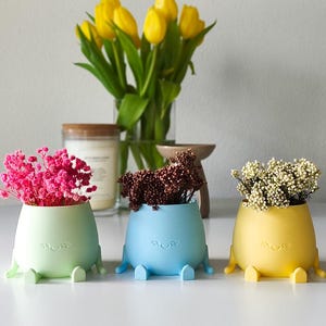 Op de afbeelding: Drie kleine, ronde plantenbakjes in pastelgroen, lichtblauw en geel, elk voorzien van een subtiel ingedrukt lachend gezichtje en kleine uitstekende voetjes. De bakjes zijn gevuld met felroze, donkerbruine en crèmekleurige droogbloemen.