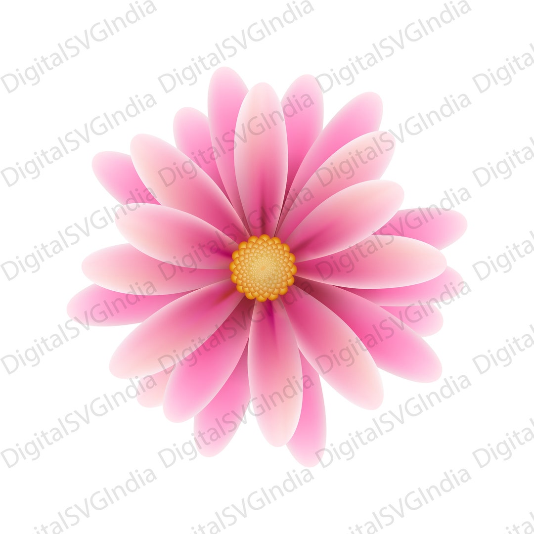 Pink Daisy Print Pink Daisy Flower Illustration, Birthday Gift PNG (digital Download) - Etsy