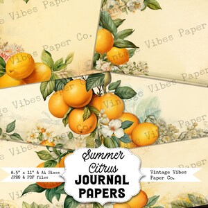 Junk-Journal Sommer Citrus druckbare Papiere, digitale Papierpackung, Zitrusfrüchte Muster, sofortiger Download Vintage-Stil neutrale gelbe Papiere