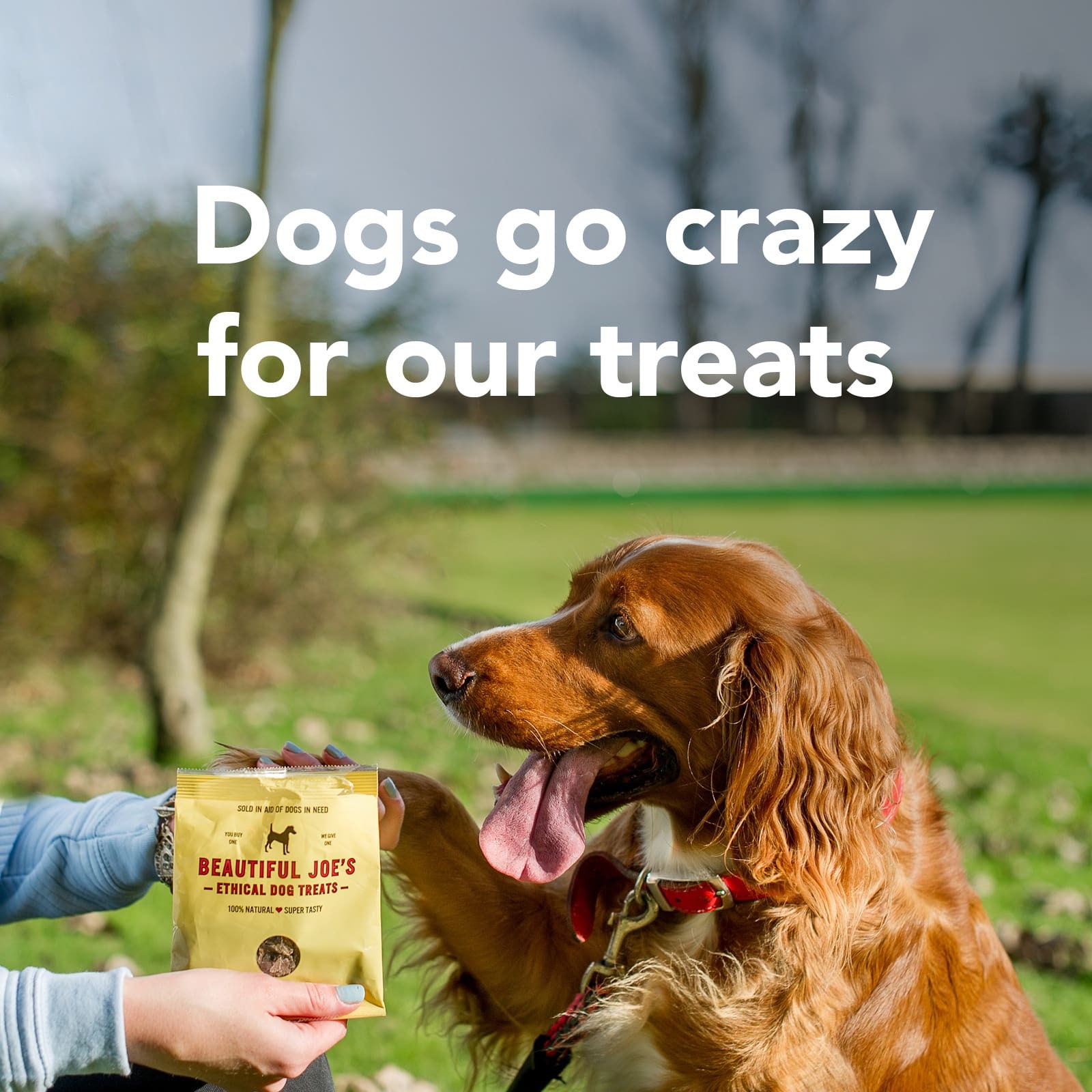 Beautiful joe's ethical dog treats discount
