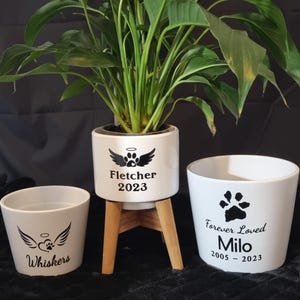 May include: Three white ceramic planters with black paw print and angel wing designs. The middle planter is on a wooden stand. The planters are labelled "Fletcher 2023", "Whiskers", and "Forever Loved Milo 2005 - 2023".