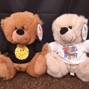 Get Well Soon Gift / Speedy Recovery Gift / Personalised Teddy Bear / Get Well Soon Bear / Speedy Recovery Bear