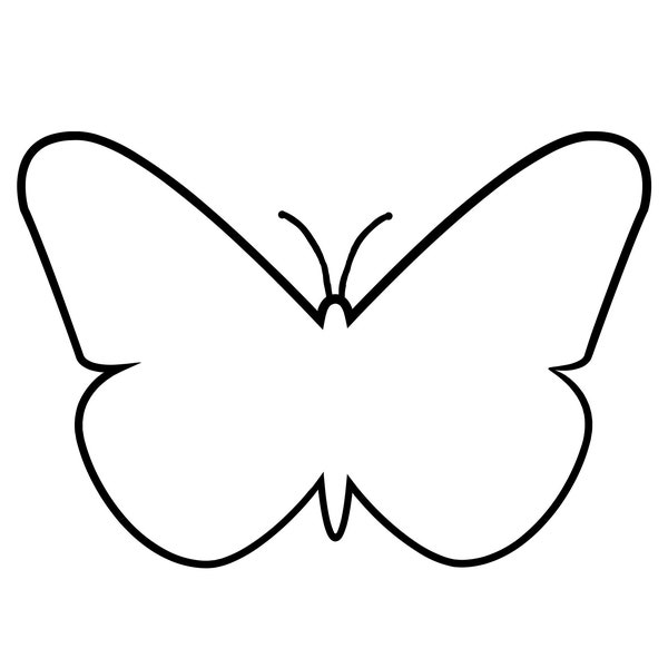 Butterfly outline