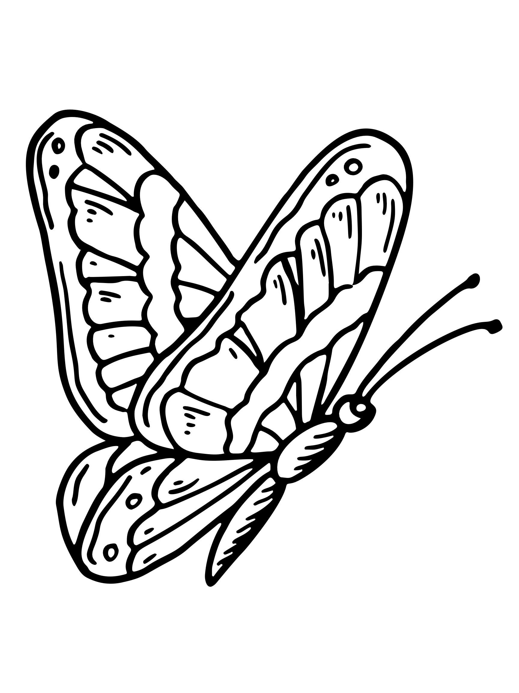 Butterfly Coloring Page
