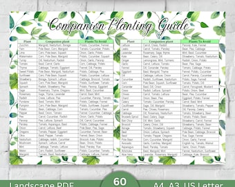 Companion Planting Guide Digital Landscape PDF US Garden Planner Printable Garden Chart Eco-Friendly Gardening Tips Landscape Garden Planner